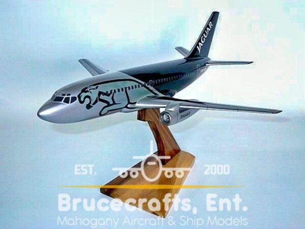 Model of B737-200 Jaguar with detailed craftsmanship.